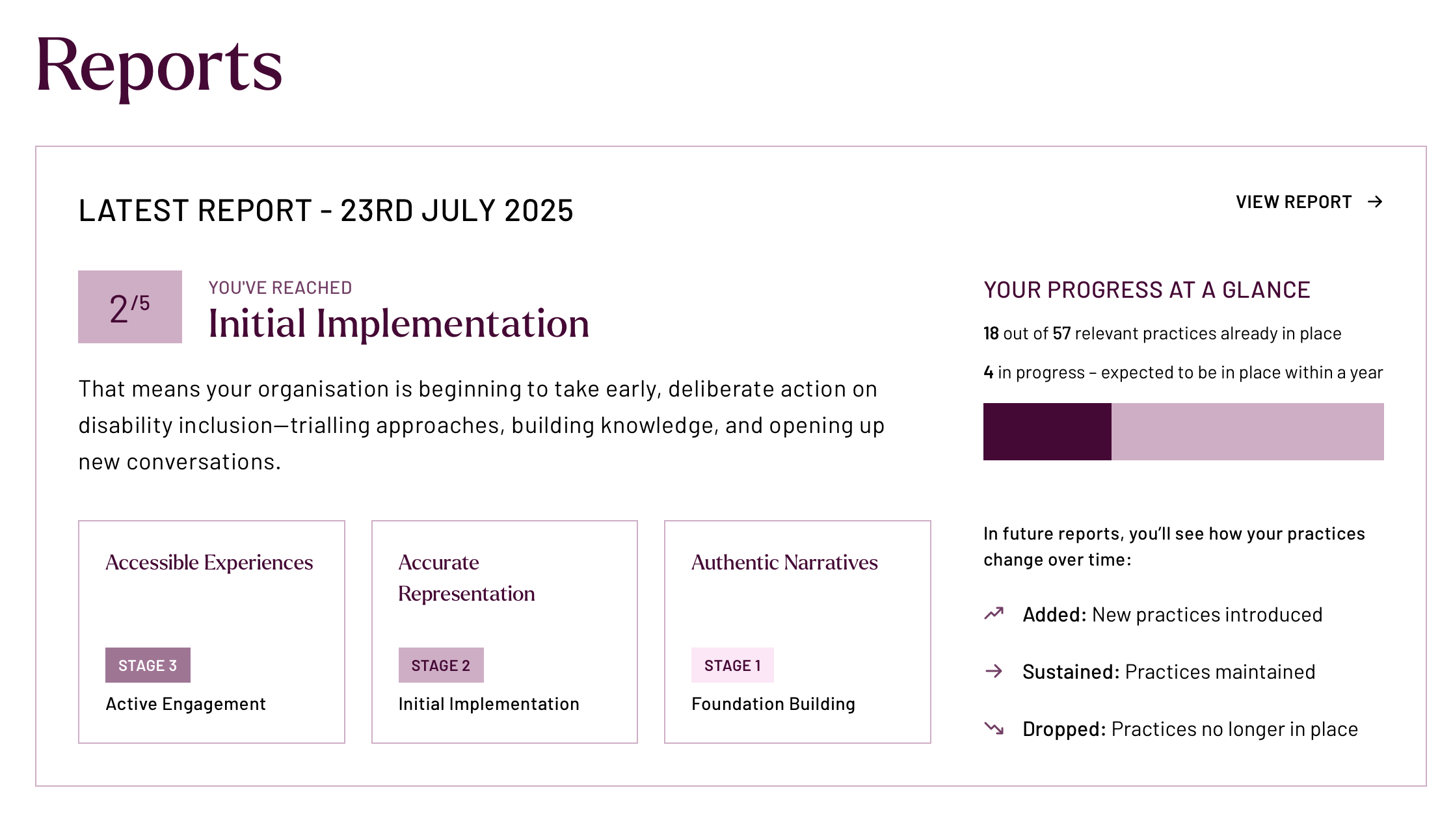 Valuable 500 latest report summary dated 23rd July 2025, showing Stage 2 “Initial Implementation,” overall disability inclusion progress, and category scores across three assessment pillars.
