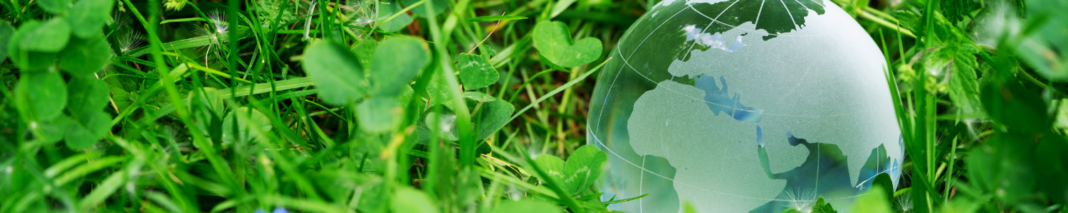 4 Ways to Drive Sustainability Behavior Change and Shape ESG Communications