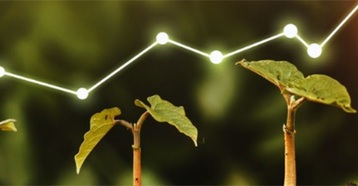 How to Tell an Authentic Sustainability Story